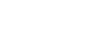 wdt_logo-white-def